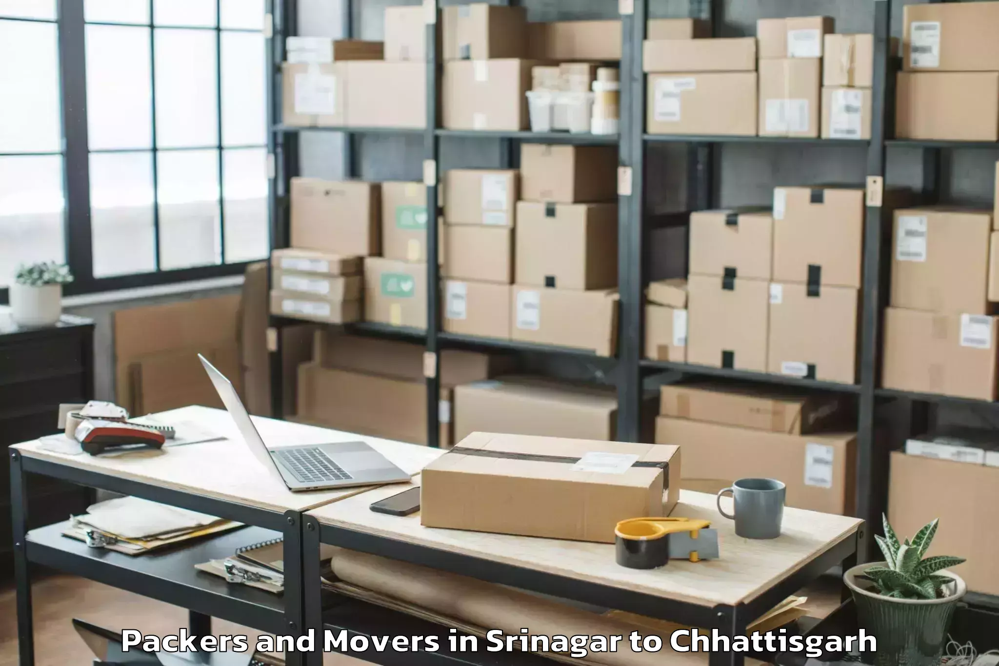 Professional Srinagar to Gharghoda Packers And Movers